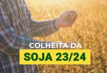 Falta uma semana para a abertura nacional da colheita da soja