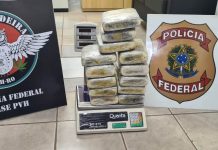 Em RO, PF prende homem tentando embarcar para SP com 14 quilos de supermaconha