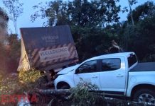 VÍDEO: árvore cai em rodovia e provoca acidente com carreta e picape próximo a Cerejeiras