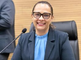 Deputada Estadual Rosangela Donadon solicita urgente manutenção na RO 473