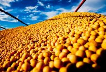 Estudo da Embrapa indica que produção de grãos no Cerrado sofrerá impactos com mudanças climáticas