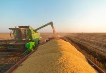 Aprosoja-MT: a conta não fecha nem para quem produziu bem