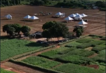 AMANHÃ: Vice-governador de Rondônia marca presença na 1ª Feira de Negócios do Agrocom, em Cerejeiras