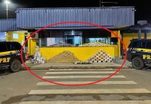 VÍDEO: motorista de 50 anos é preso transportando mais de 400 quilos de drogas em Vilhena