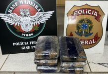 “SKUNK”: mulher é presa pela PF ao tentar embarcar com maconha em aeroporto de RO para RJ