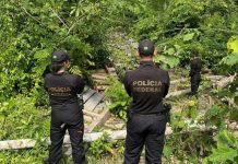 PF realiza ação para prevenção de crimes em terras indígenas em RO