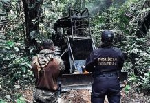 Força-tarefa combate crimes ambientais em reservas indígenas em RO
