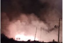 Fogo consome vegetação no Cidade Verde IV em Vilhena; morador registra imagem