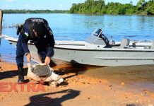 PM captura foragido durante fiscalização no rio Guaporé em Pimenteiras