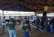 Alunos do SENAR visitam Fazenda Escola FIMCA para vivenciar a Zootecnia na prática