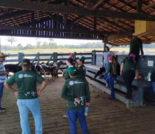 Alunos do SENAR visitam Fazenda Escola FIMCA para vivenciar a Zootecnia na prática