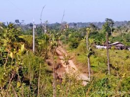 CORUMBIARA: “Injustiça e Abandono”: Assentados do Zé Bentão clamam por ação governamental contra invasores