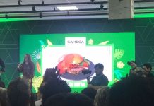 Vencedores do Festival Gastronômico Siccob Sabor 2024 são anunciados