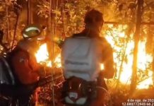 VÍDEO: Corpo de Bombeiros continua combatendo incêndios nos arredores de Vilhena