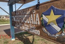 Chupinguaia entre os cem maiores rebanhos bovinos do país e Vilhena é destaque pelo número de galinhas em RO