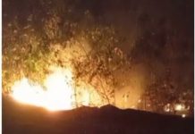 VÍDEOS: Mesmo com poucos equipamentos, bombeiros e população continuam combatendo queimadas dia e noite em Vilhena