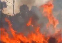 VÍDEO: Corpo de Bombeiros e voluntários combatem incêndio em propriedade rural em Cabixi