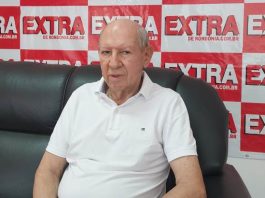 ARTIGO: papel e celulose