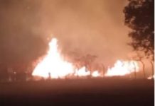 VÍDEOS: Incêndio de grandes proporções ameaça museu e áreas próximas em Vilhena: Corpo de Bombeiros atua no combate às chamas