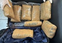 PF prende homem com nove quilos de skunk em aeroporto de RO