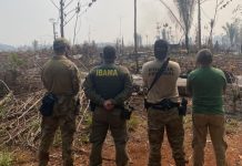 PF realiza operação para identificar responsáveis por incêndios em terras indígenas em RO