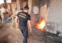 PF incinera cerca de 250 quilos de drogas apreendidas em RO