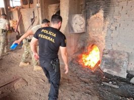 PF incinera cerca de 250 quilos de drogas apreendidas em RO