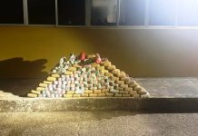 PRF apreende 117 kg de entorpecentes em Porto Velho