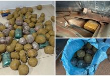 Ação conjunta resulta em prisão de suspeito e apreensão de 50 kg de drogas em São Miguel do Guaporé