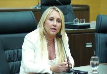 Ieda Chaves apresenta requerimentos para investigar emissão de RG em RO; há dificuldades no agendamento em Vilhena