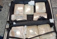 PF prende mulher transportando mais de 11 kg de maconha em aeroporto de RO