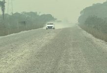 Deputada Dra. Taíssa busca soluções para trecho crítico da BR-364 que liga Porto Velho a Guajará-Mirim