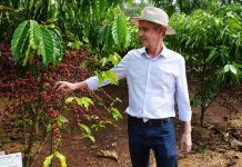 JAIME BAGATTOLI: Comissão de Agricultura aprova relatório do senador que oficializa o Pronaf e o Plano Safra da Agricultura Familiar