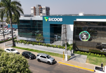 Sicoob Credisul depositará mais de R$ 60 milhões na conta capital dos cooperados