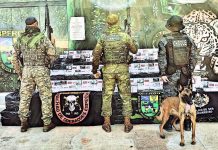 PM apreende 35 mil maços de cigarros contrabandeados em Nova Mamoré