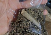 Patrulha Reforço apreende maconha com homem já detido anteriormente por tráfico em Vilhena