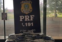 PRF realiza apreensão de agrotóxicos contrabandeados no interior de Rondônia