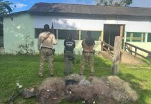 PF e ICMBio realizam operação contra pesca ilegal em RO