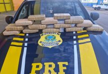 PRF intercepta passageira transportando drogas em táxi na BR-364 em RO